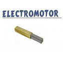 Charbons ElectroMotor